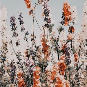 Meet your Posher, Ada